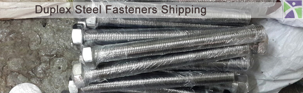 Fastener Bolt Nut Washers and Screws